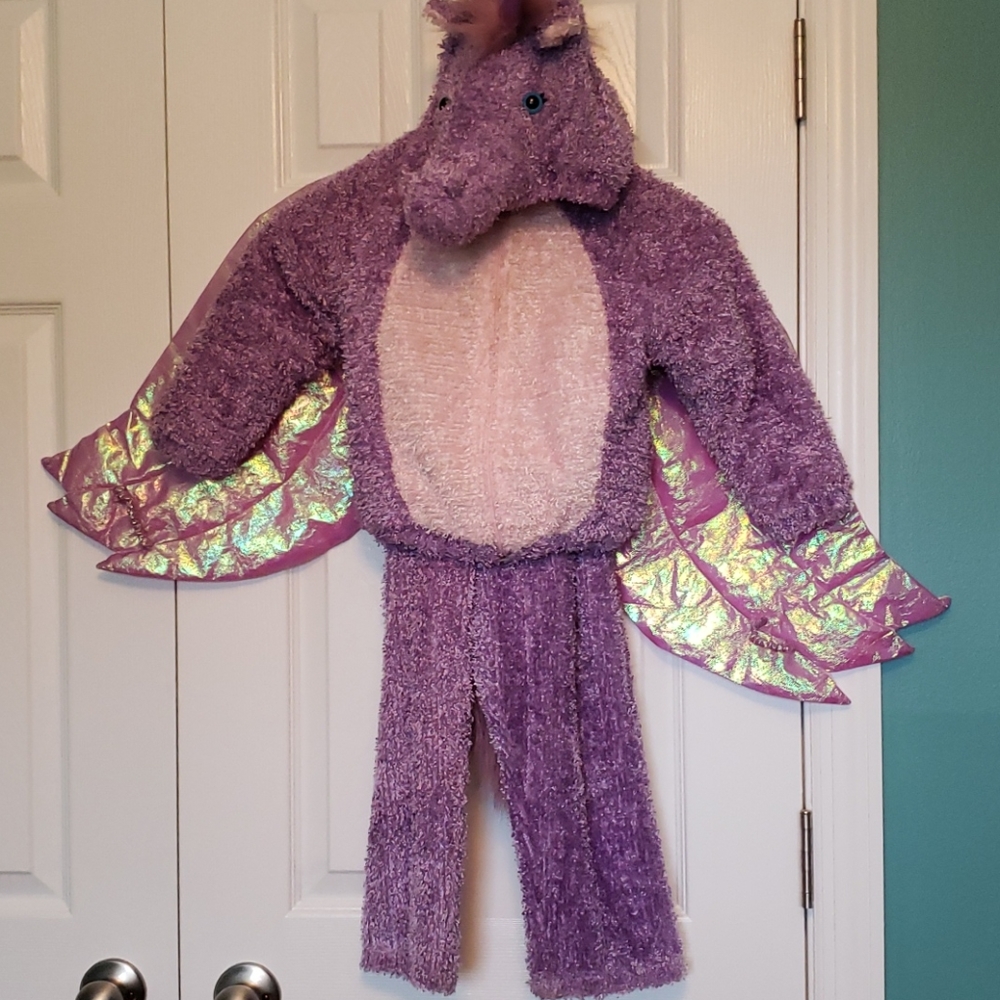 Pegasus / Unicorn Costume